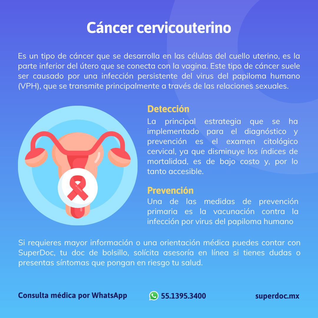 Conoce Qué Exámenes Detectan El Cancer Cervicouterino